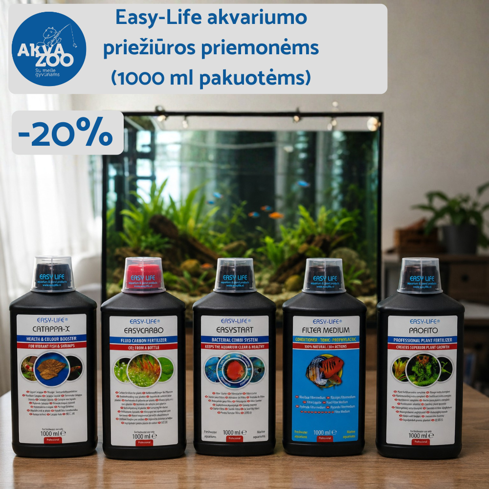 Akvazoo