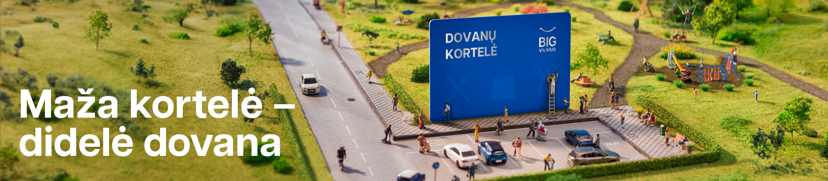 BIG VILNIUS dovanų kortelė