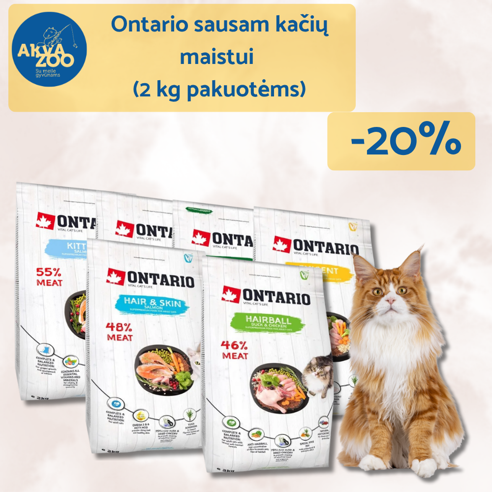 Akvazoo